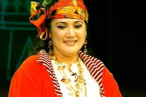 维族明星资料,维族明星风采掠影