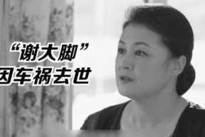 娱乐圈吃瓜明星代号厨子,娱乐圈神秘代号背后的明星传奇