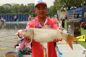 娱乐吃瓜遛鸟大师是谁,揭秘娱乐圈幕后风云人物