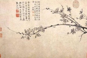 yy王冕的背景,从草根主播到电竞明星的蜕变之路