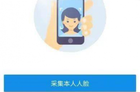 佳佳娱乐吃瓜小助手,揭秘娱乐圈最新热点事件