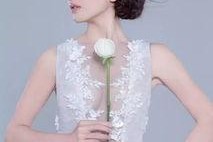 杨蓉的社会背景