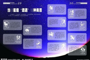 娱乐版面 定位,星光熠熠，精彩瞬间盘点