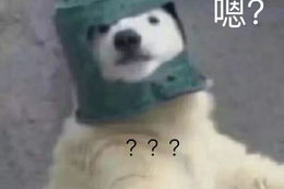 羊了个羊吃瓜娱乐